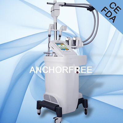 지방세포 감소를 위한 뚱뚱한 어는 Cryolipolysis 진공 아름다움 기계
